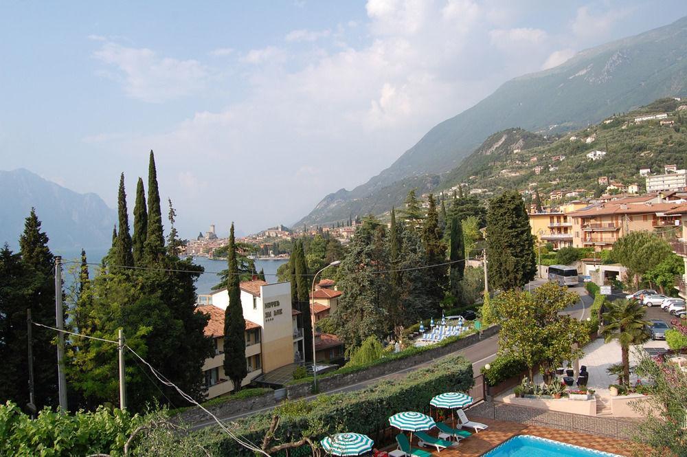 Stella Alpina